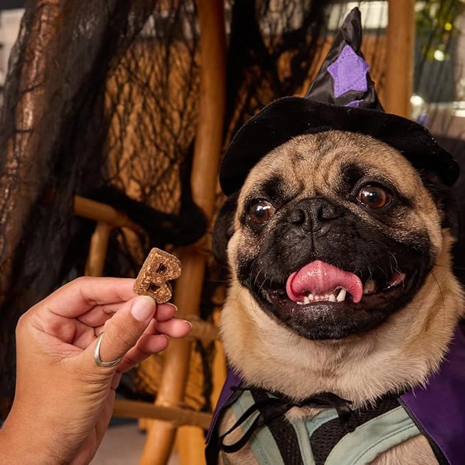 Bocce's Bakery Spiced Cider All-Natural Soft & Chewy Halloween Dog Treats - Wheat-Free Everyday Cookies for Dogs, Made with Real Ingredients & Baked in The USA – Apple & Cinnamon Flavored (6 oz Bag)