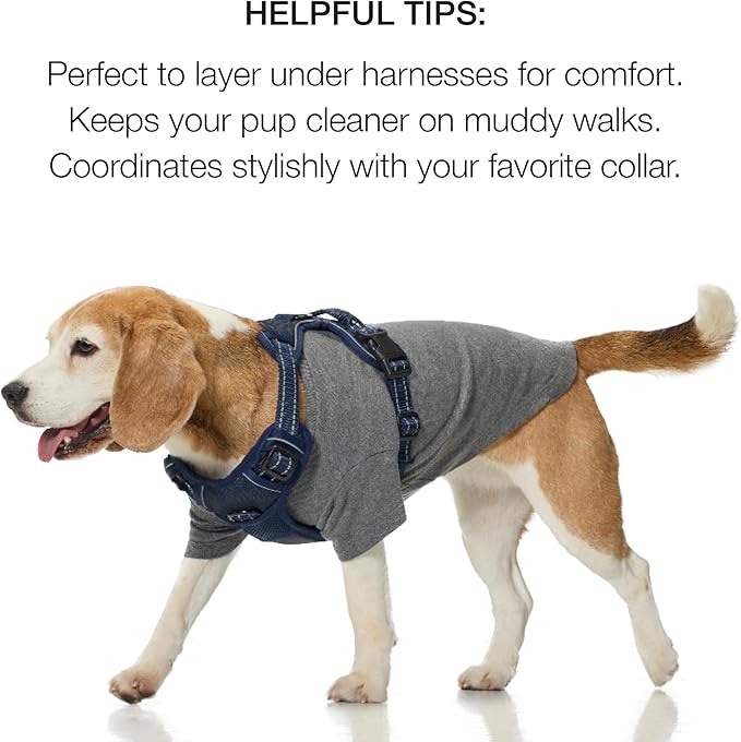 Toby II - The Perfect Tee, 8 Pack Short Sleeve Pet T-Shirt 100% Organic Cotton Tees Clothes for Small, Medium, Large Dogs, Rainbow Blue, Small