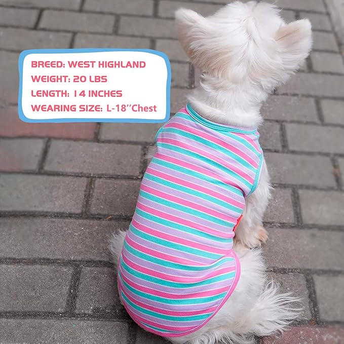 KYEESE 2Pack Dog Shirts Striped T Shirt for Medium Dogs Boy Lightweight Sleeveless Vest Cotton Tank Top Clothes, XX-Large,Purple+Striped