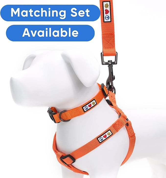 Pawtitas Extra Extra Small Dog & Cat Leash, 6 FT Orange Solid Color, Ideal for Toy Breeds, Durable Nylon, Not for Chewing