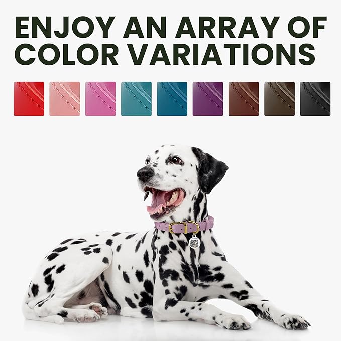 BRONZEDOG Rolled Leather Dog Collar for Small Medium Large Dogs with QR ID Tag (XS: 9-11 Inch, Glossy Black)
