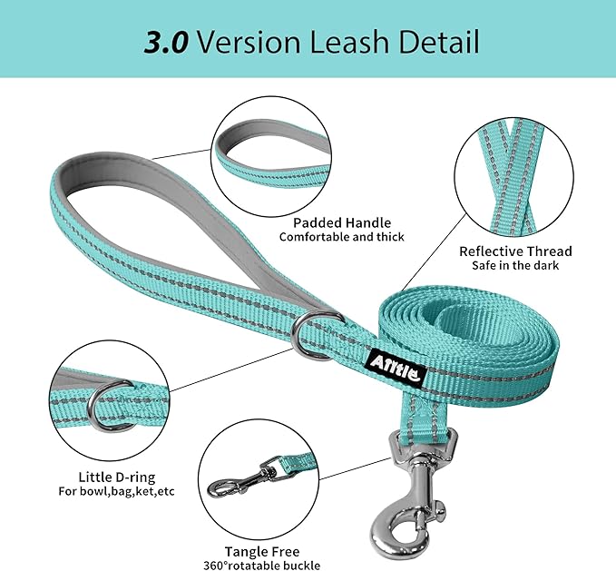 AIITLE Dog Harness, Summer No-Pull Cat Harness with a Leash, Adjustable Reflective Dog Vest, Cat Harness Escape Proof, Outdoor Walking, Camping for Extra Small Dogs and House Cats Pure Turquoise XXXS