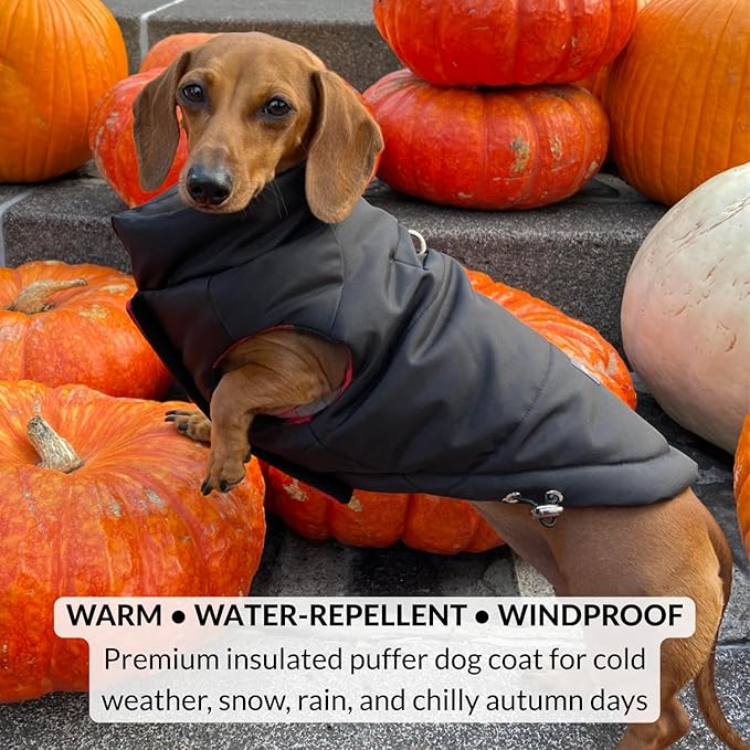 DJANGO Reversible Puffer Dog Coat – Warm Winter Dog Jacket & Water-Repellent Insulated Dog Coat with Harness Hole, Windproof, Adjustable Fit Vest for Small & Medium Dogs, Dachshunds – Black, Large