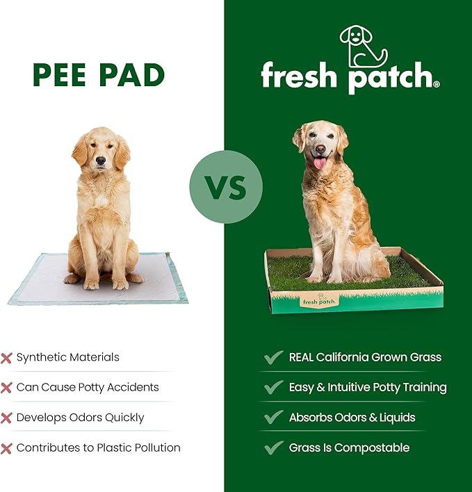 Fresh Patch Real Grass Patch for Dogs, Cats, and Small-Medium Pets Under 15 Pounds – Disposable Pet Grass Pee Pads – Indoor and Outdoor Potty Training Mat (16 Inches x 24 Inches)