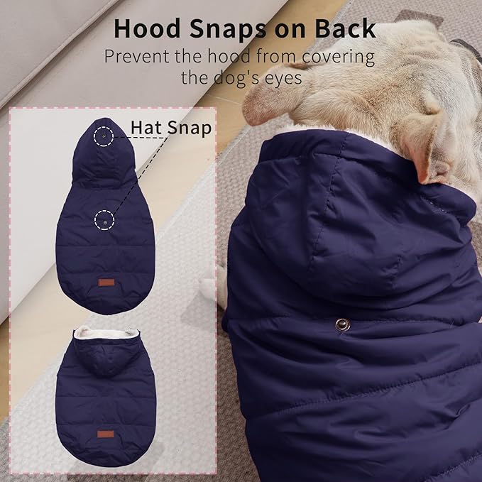 Fleece Lining Extra Warm Dog Hoodie in Winter,Small Dog Jacket Puppy Coats with Hooded,Blue S