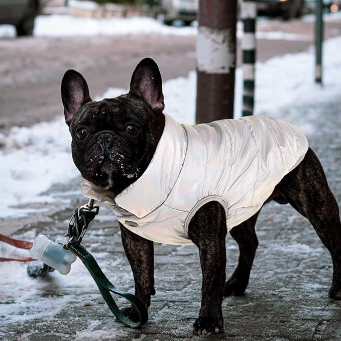 ASENKU Dog Winter Coat - Waterproof Windproof Dog Jacket, Warm Snowproof Doggie Puffer Vest for Cold Weather, Lightweight Snow Coats for Small Medium Large Dogs (Silver, L)