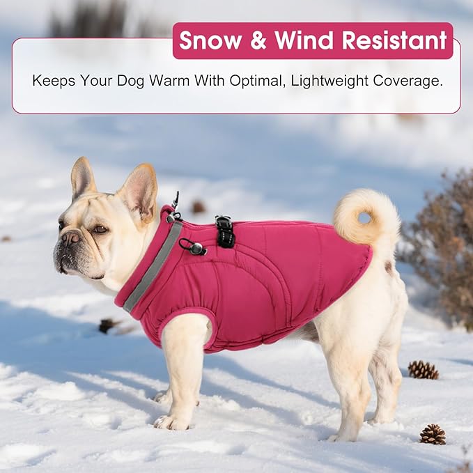 SAWMONG Dog Coat, Warm Dog Winter Coat, Waterproof Fleece Jacket, Cold Weather Dogs Jacket (M,Rosered)