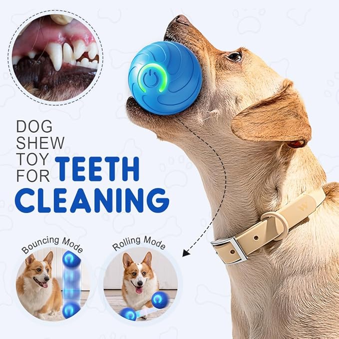 Moving Dog Ball, 2026 New 2Pcs Automatic Vibrating Dog Ball Toy, Smart Bouncing Shaky Balls Toy for Dogs, Interactive Jumping Dogs Balls That Moves on Its Own for Small Dogs (Blue)