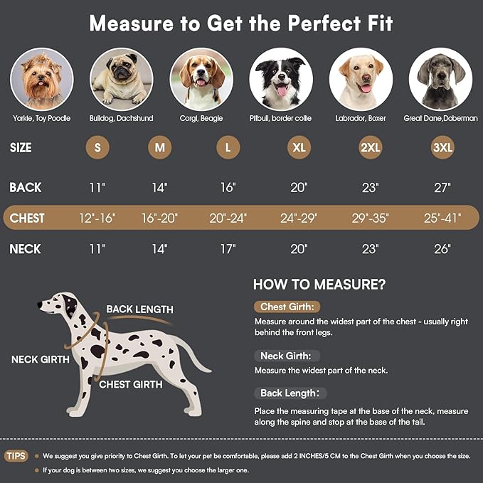 Queenmore Winter Dog Coat Warm Dog Jacket Vest Waterproof Puffer Fleece Snowsuit Adjustable Buckle Leash Hole Reflective Cold Weather Parka for Small Medium Large Dogs Girl Boy Orange L