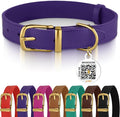 BRONZEDOG Leather Dog Collar with Metal Buckle Durable Basic Pet Collars for Small Medium Large Dogs (19-21 Inch (Pack of 1), Purple & Gold Buckle)