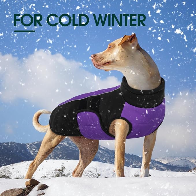 Kuoser XXXL Dog Coat, Dog Jackets for Large Dogs, Reflective Pet Winter Coat Cold Weather Coats, Doggie Snow Jacket Warm Apparel Clothes for Great Dane, Purple XXXL