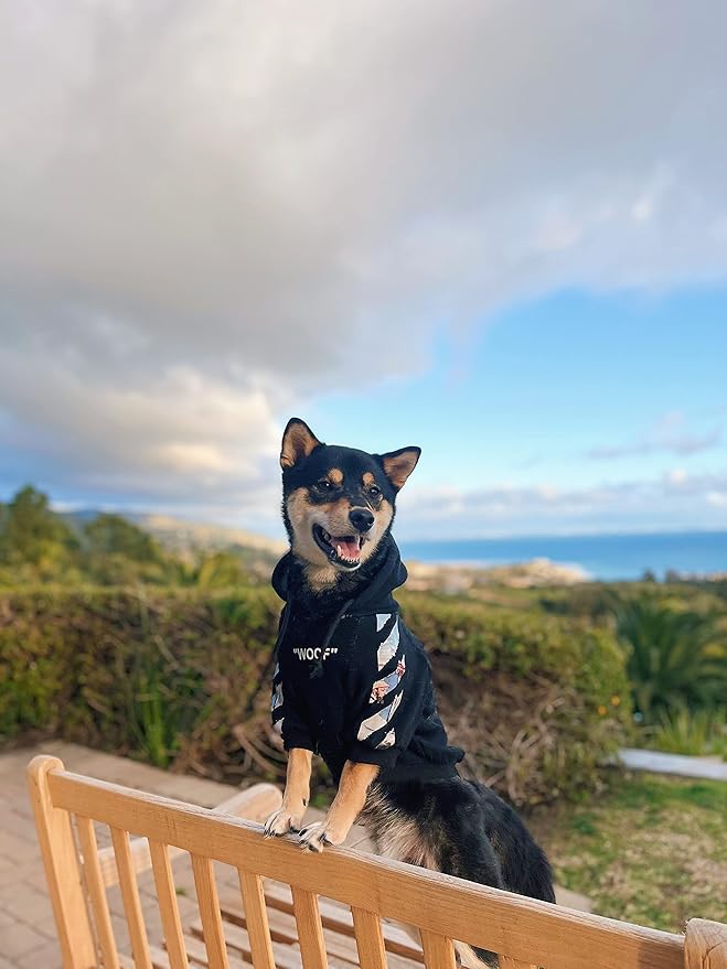 ChoChoCho Woof Dog Hoodie, Designer Dog Hoodies for Small Medium Large Breeds, Art Collection Dog Sweatshirts, Street Drawstring Hoodies Outfit Clothes for Puppy Puppies (3XL, Monet Painting)