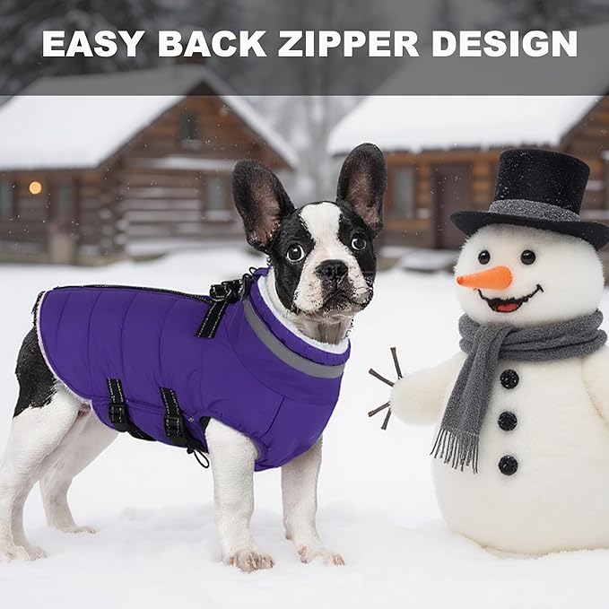 Medium Dog Coat with Harness Built-in, Waterproof Reflective Fleece Lined - Warm Windproof Winter Jacket with Back Zipper, Cold Weather Snow Dog Coats - Purple - M