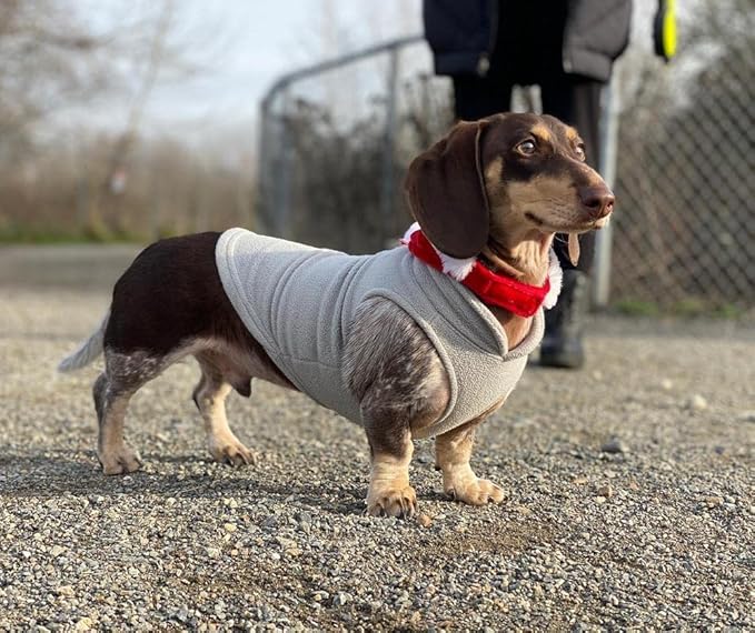 Gooby Fleece Vest Dog Sweater - Gray/Yellow, X-Large - Warm Pullover Fleece Dog Jacket with O-Ring Leash for Small to Medium Dogs
