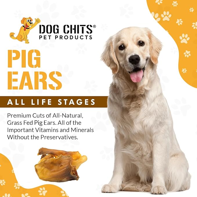 Dog Chits Pig Ears for Dogs – 100% Natural Baked Pig Ear Dog Treats & Training Chews – High Protein, Lower Fat, Grain-Free – Great for Puppies, Dental Support – Medium Size, 15 Pack – Made in USA