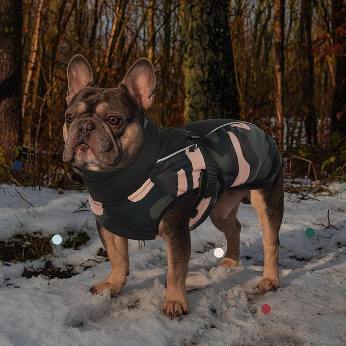 IECOii Extra Warm Dog Coat - Reflective Adjustable Jacket for Small to Extra Large Dogs - Buckle Fleece Turtleneck for Cold Weather