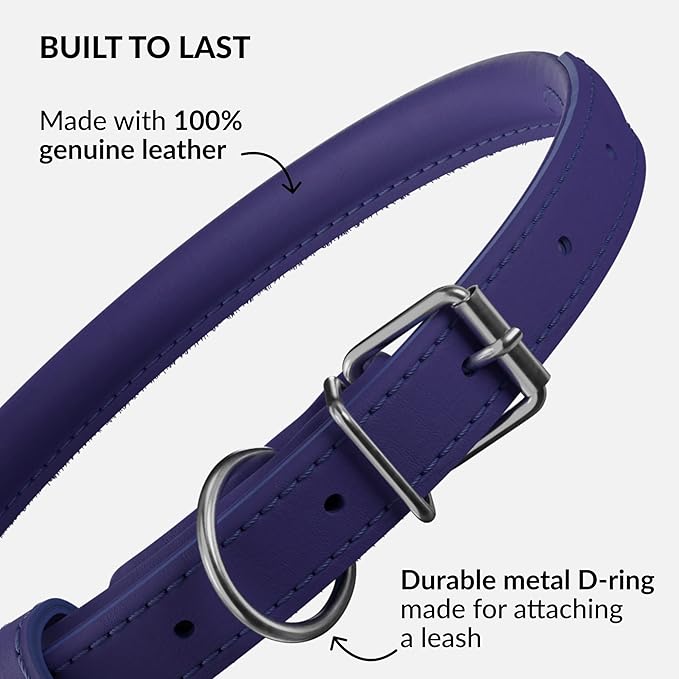 CollarDirect Rolled Leather Dog Collar, Soft Padded Round Puppy Collar, Handmade Genuine Leather Collar Dog Small Large Cat Collars 13 Colors (8-11 Inch, Purple Smooth)