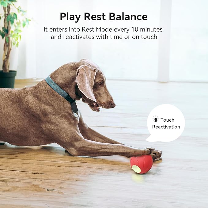 Cheerble [Enhanced Rubber Version Smart Interactive Dog Toy, Wicked Ball PE, Automatic Moving Bouncing Rotating Ball for Medium Dogs Boredom with LED Lights