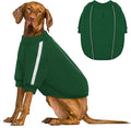 Queenmore XXL Christmas Dog Sweater, Cozy Fleece Dog Sweatshirt, Warm Winter Fleece Jacket for Small, Medium & Large Dogs with Leash Hole/Reflective Stripes Green