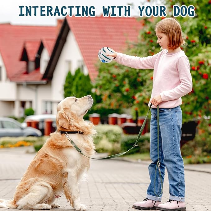 HYQ Glowing Small Dog Toys, Interactive Dog Toys Ball, Squeaky Dog Toys for Small Medium Large Dogs, Puppy Ball Dog Toys to Keep Them Busy (Glow Ball, 5.91 inch)