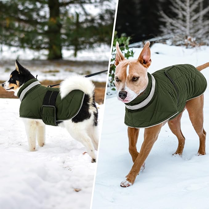 Dog Winter Coat Warm Padded Puppy Jacket Windproof Water Resistant Clothes for Small Medium Large Pets Christmas Sweater Outfit Vest(Green, L)
