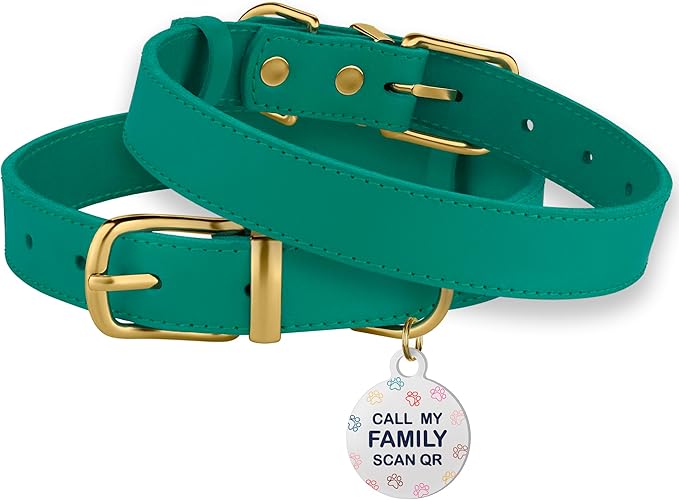 BRONZEDOG Leather Dog Collar with QR ID Tag Basic Pet Collars for Small Mini Dogs Cats Puppies (9-11 Inch (Pack of 1), Green & Gold Buckle)