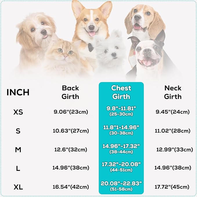 EMUST Warm Dog Jacket, Cozy Dog Fleece Coat with Leash Hole, Waterproof Reversible Winter Sweater Coats for Small Dogs, Grey, XS