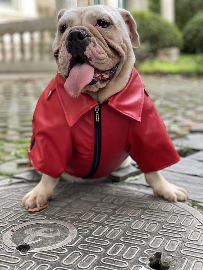 Lovelonglong Cool Dog Leather Jacket, Warm Coats Dogs Windproof Cold Weather Coats for Large Medium Small Dogs with Eagle Embroidery Red B-L