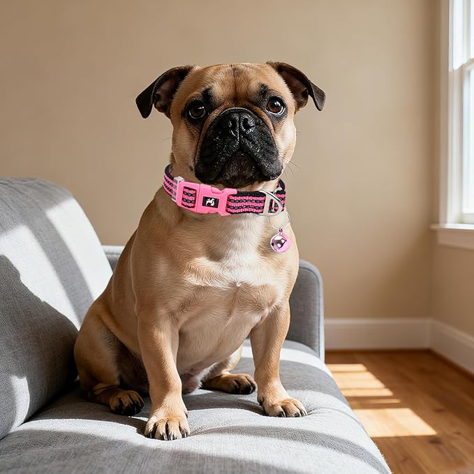Small Dog Collar with Bell Reflective - Adjustable Tiny XS XXS Breed Collar for Girl Female,Night Walk Safety Accessory（Pink S）