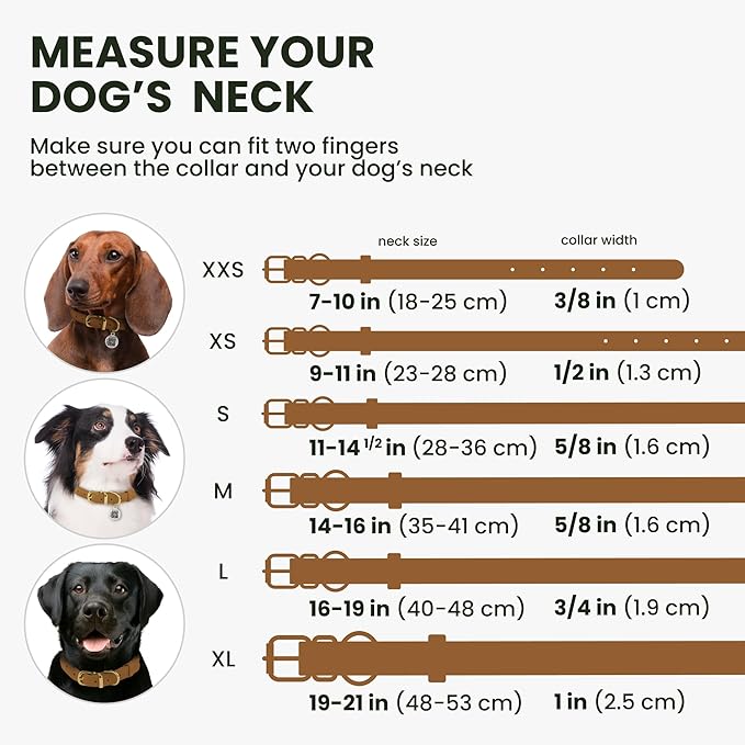 BronzeDog Rolled Leather Dog Collar with QR ID Tag, Adjustable Soft Round Collars for Small Medium Large Dogs Puppy (9" - 11" Neck Size, Light Brown)