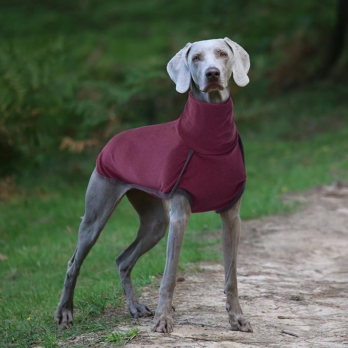 ROZKITCH Soft Warm Sweater Pajamas, Vest for Cold Weather Winter, Elastic Turtleneck, Sleeveless Pullover Clothes, Lightweight Pet Shirt for Small Medium Large Dogs Red L