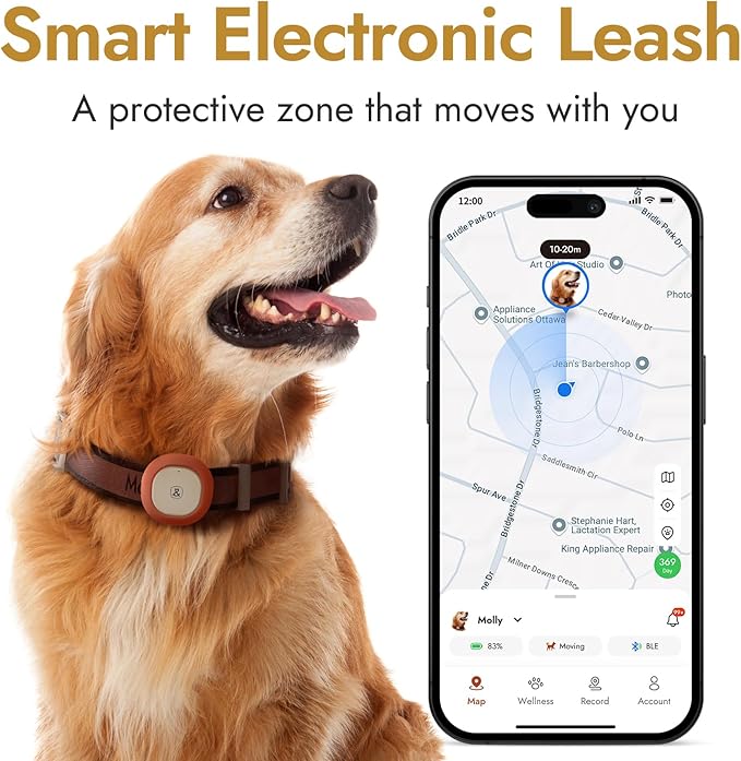Automatic Dog Feeder for Large Dogs, 14L Capacity, 2.4G WiFi App Control, Dual Power Supply, Stainless Steel Bowl, and Molly&Cody GPS + Bluetooth Pet Tracker for Cats & Dogs – Real-Time Tracking Bundl