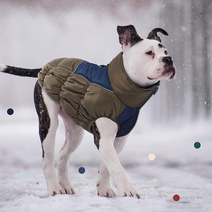IECOii XL Dog Coat - Winter Waterproof, Extra Warm XLarge Dog Coat with Reflective Fleece Vest & Turtleneck, Zipper Closure, XL