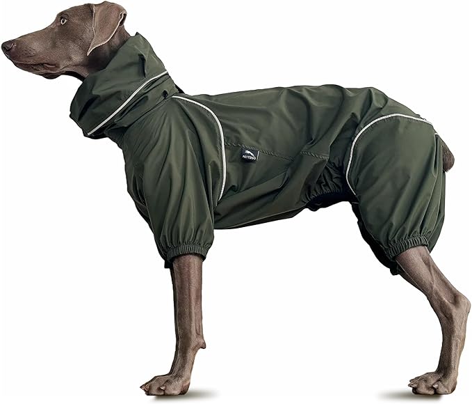 Dog Lightweight Windbreaker, Dog Outdoor 4-Legs Jacket, 0.5 lbs,Durable Water Repellent, Hooded, Easy on/Off with Collar and Harness, Reflective, Packable,Dark Olive -XXL(Male)