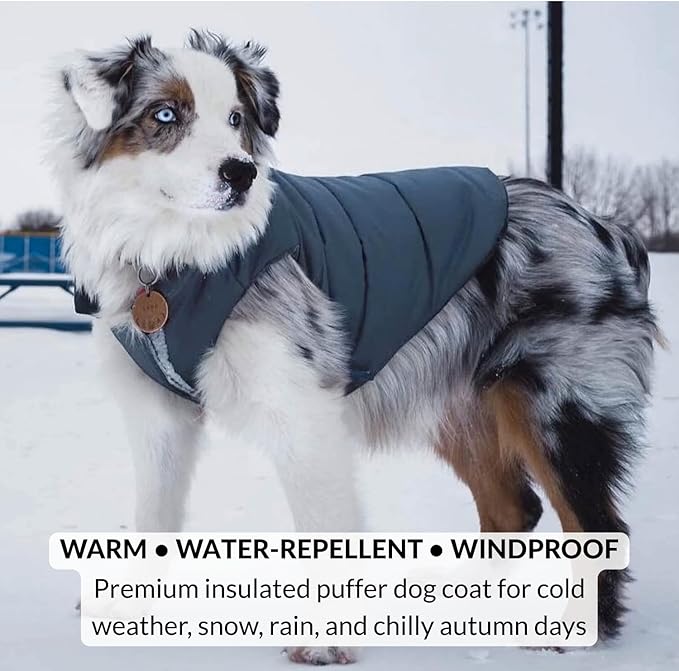 DJANGO Reversible Puffer Dog Coat – Warm Winter Dog Jacket & Water-Repellent Insulated Dog Coat w/Harness Hole, Windproof, Adjustable Fit for Small & Medium Dogs, Dachshunds – Twilight Blue, Large