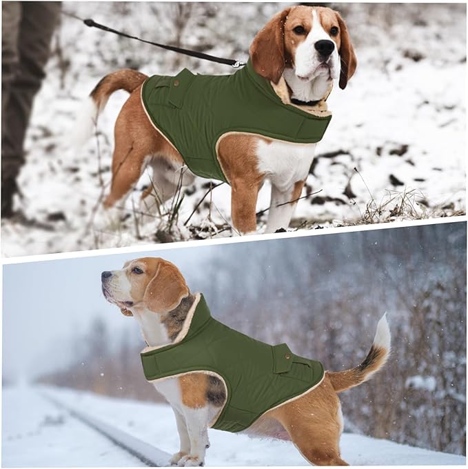 ASENKU Warm Dog Winter Coat, Waterproof Dog Coat for Cold Weather, Fleece Dogs Jacket with Ultra Thick Plush Lining Leash Hole Storage Pockets for Medium Dogs (Green, Medium)