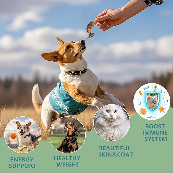 Freeze Dried Little Quail, 3 Oz Quail Dogs Cat Treats, Single Ingredient Freeze Dried Cat and Dog Treats Delicious Training Snacks, Natural Food Healthy Animal Protein Pet Food