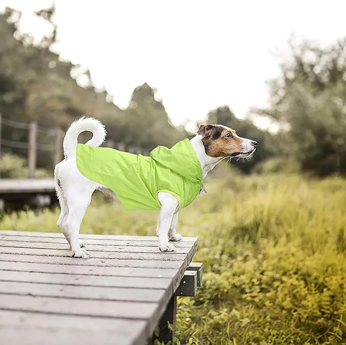 Dog Raincoat rain Jacket Dogs Waterproof fit for Small Medium Breeds Zipper Closure Pocket Storage in Cold Day - Light Green - S