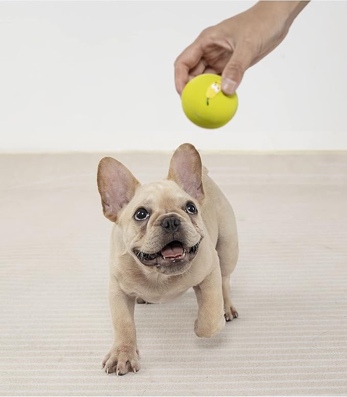Squeaky Dog Ball, Latex Cute Dog Toys for Puppy and Small Dogs Soft Rubber Fetch Play Catch Ball Bounce and Funny Squeak Pet Toys 6 Pack