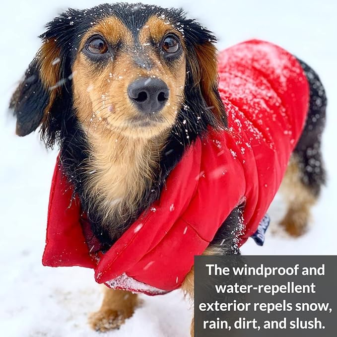 DJANGO Reversible Puffer Dog Coat – Warm Winter Dog Jacket & Water-Repellent Insulated Dog Coat with Harness Hole, Windproof, Adjustable Fit for Small & Medium Dogs, Dachshunds – Lava Red, Small