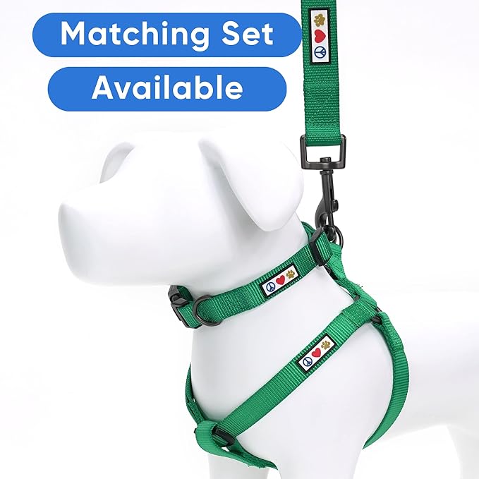 Pawtitas 6 FT Solid Color Leash for Puppy and Dog Leash Dog Training Leash 6 ft or 1.8 m Dog Leash Extra Extra Small Dog Leash can be Used for as a Cat Leash Lush Green Dog Leash