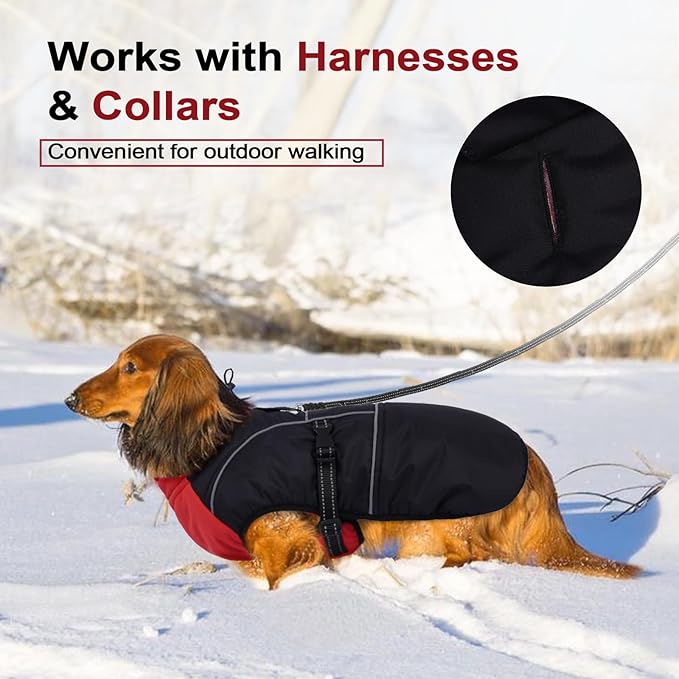 Lelepet Dachshund Coat Warm Dog Winter Coat Waterproof Dog Jacket with Fleece Lining, Reflective Outdoor Dachshund Snowsuit with Leash Hole Adjustable Neckline,Coats for Small Medium Dogs,Red, S