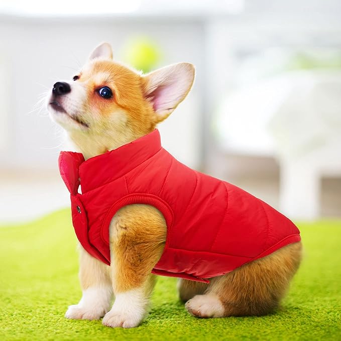 Syhood 2 Pieces Dog Jacket 2 Layers Fleece Lined Dog Jacket Warm Soft Windproof Small Pet Coat for Winter Cold Weather(2X-L,Navy,Red)