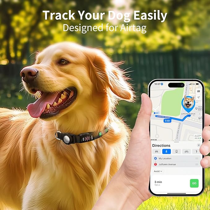AirTag Dog Collar with QR Code & LED Light, IP68 Waterproof Rechargeable LED Pet Collar with Reflective Strips, Durable Airtag Holder for Medium/Large Dogs, DIY Pet Information(Green, M(16-20 in))
