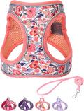 Step in Dog Harness and Leash Set, Flower Adjustable Easy Walk Puppy Harnesses, Soft Mesh Pet Vest Harness Small Size Dog Adjustable No Pull Dog Harness for Small Medium Dogs(Pink, S)