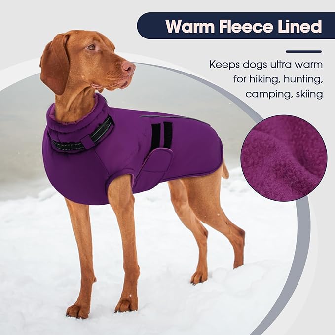 IECOii Small Dog Coat, Waterproof Dog Snow Jacket with Built in Collar, Thermal Fleece Lined for Cold Weather, Safety Reflective Dogs Winter Coat for Nighttime Walks, Easy On/Off, Purple - M