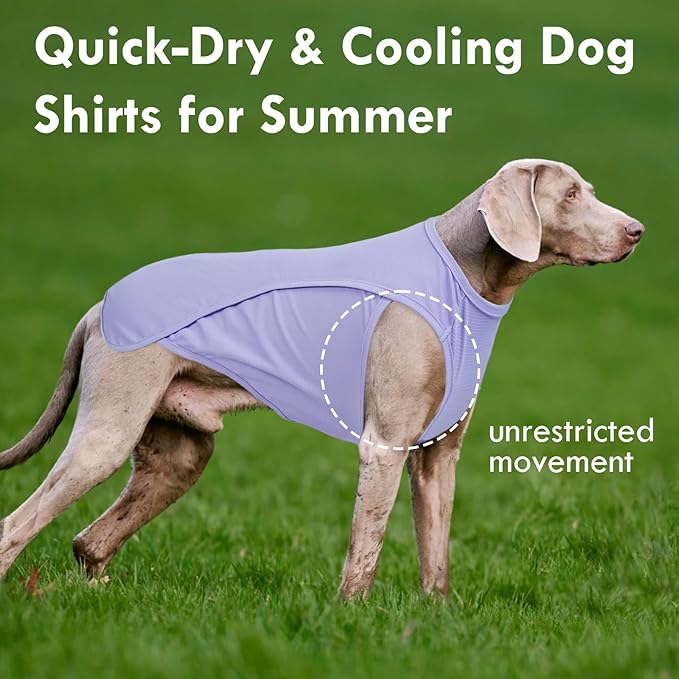 2 Pack Dog T-Shirts for Large Dogs, Quick Dry Cooling Vest, Summer UV Protection UPF50+ Shirt for Dogs Outdoor Hiking, Beach Trip, Travel, Purple+Pink, 2XL