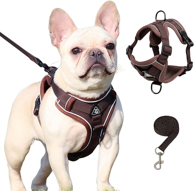 SOLMOONY Small Dog Harness,Soft Mesh Puppy Harness and Leash Set,No Escape Cat Harnesses for Training Walking,Reflective Adjustable Puppy Vest for Small Medium Dogs, Cats (Brown, L)
