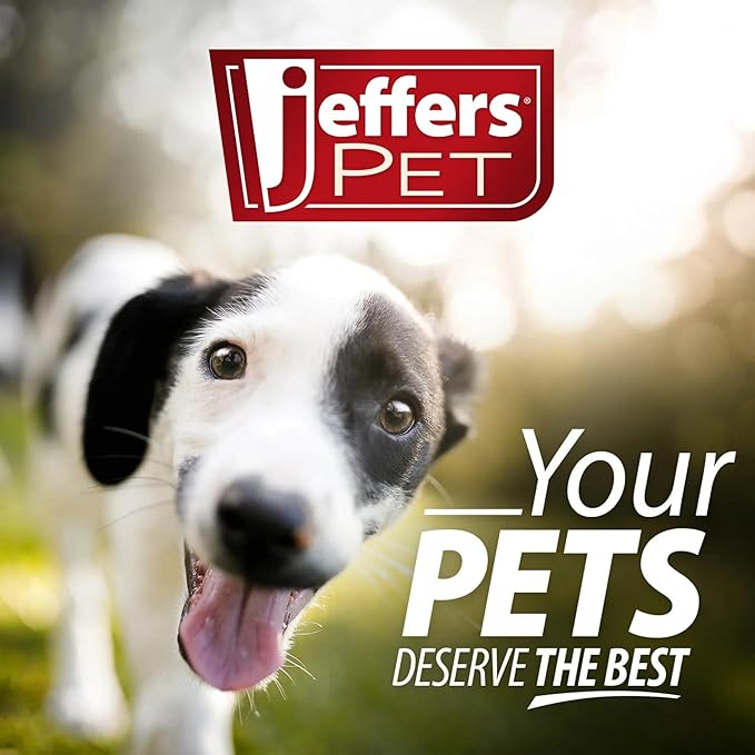Jeffers Pet Christmas Character Plush Orbs Squeaker Dog Toy, 6" Soft Plush Stuffed Animal for Small Dogs, Puppies, Adorable Stuffed Friend for Indoor Play, Christmas, Halloween