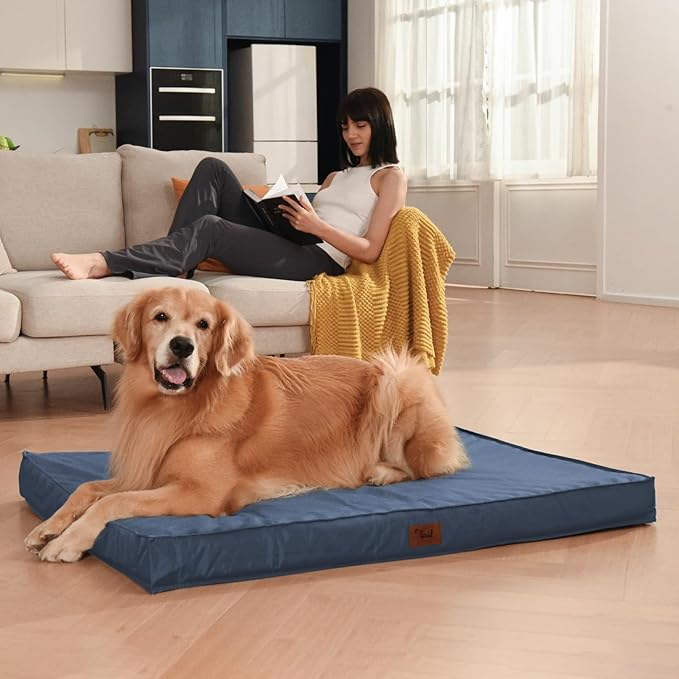 Large Outdoor All Weather Dog Bed, Waterproof Dog Bed for Large Dogs, Orthopedic Egg Crate Foam Pet Bed with Washable Removable Oxford Cooling Cover, 36x27 Inch, Navy